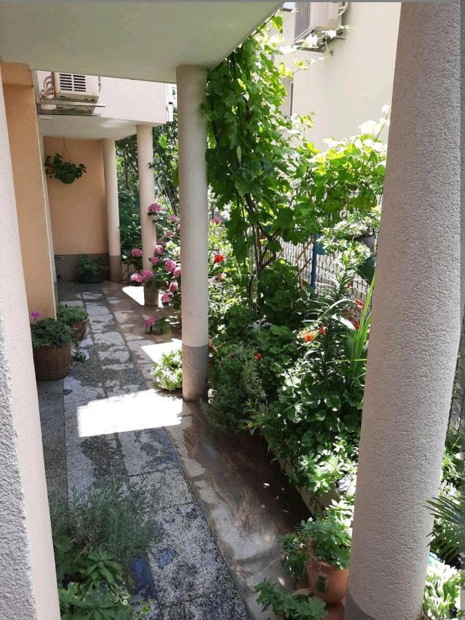 מלון באסקה וודה Vila Doris מראה חיצוני תמונה